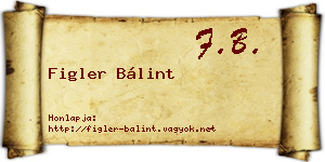 Figler Bálint névjegykártya